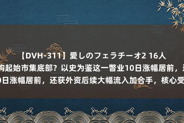 【DVH-311】愛しのフェラチーオ2 16人のザーメン中毒 基金自购起始市集底部？以史为鉴这一瞥业10日涨幅居前，还获外资后续大幅流入加合手，核心受益倡导一览