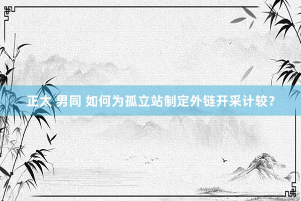 正太 男同 如何为孤立站制定外链开采计较？
