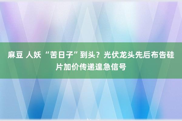 麻豆 人妖 “苦日子”到头？光伏龙头先后布告硅片加价传递遑急信号