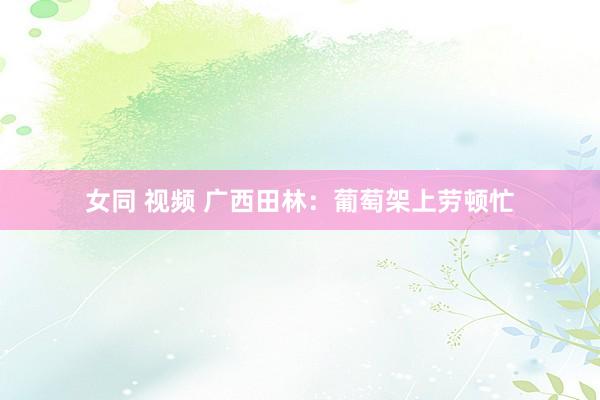 女同 视频 广西田林：葡萄架上劳顿忙