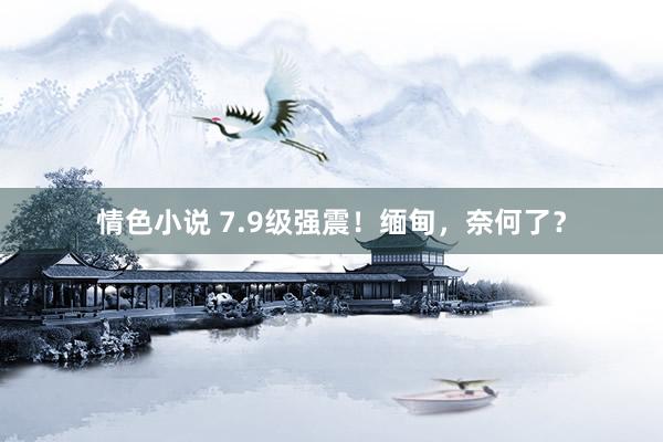 情色小说 7.9级强震！缅甸，奈何了？