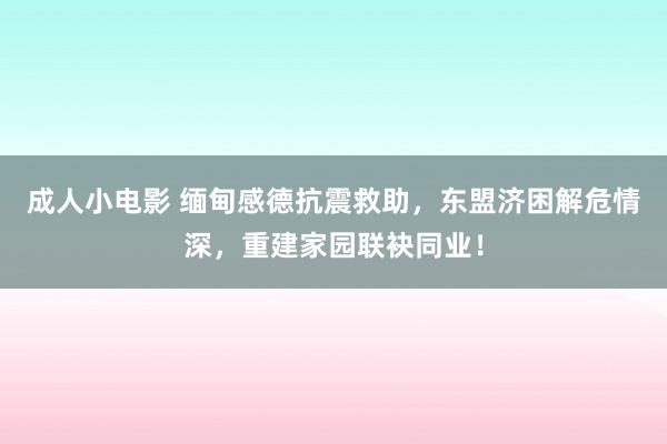 成人小电影 缅甸感德抗震救助，东盟济困解危情深，重建家园联袂同业！