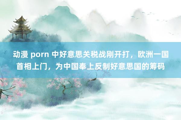 动漫 porn 中好意思关税战刚开打，欧洲一国首相上门，为中国奉上反制好意思国的筹码