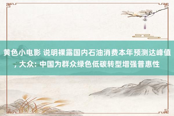 黄色小电影 说明裸露国内石油消费本年预测达峰值, 大众: 中国为群众绿色低碳转型增强普惠性