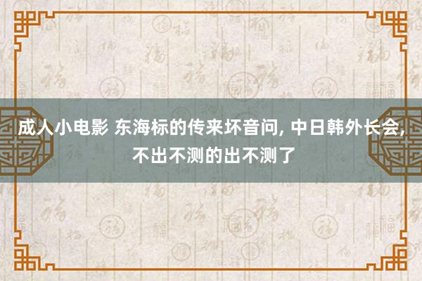 成人小电影 东海标的传来坏音问, 中日韩外长会, 不出不测的出不测了