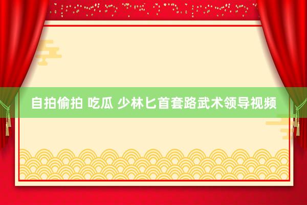 自拍偷拍 吃瓜 少林匕首套路武术领导视频