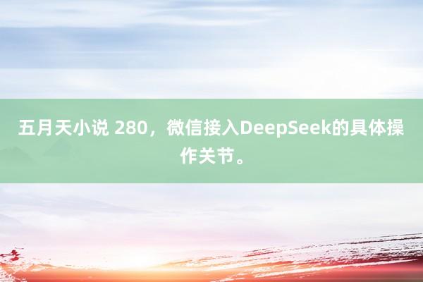五月天小说 280，微信接入DeepSeek的具体操作关节。