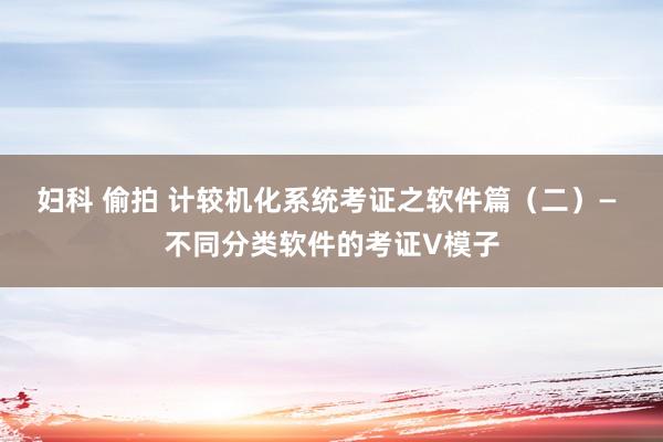 妇科 偷拍 计较机化系统考证之软件篇（二）— 不同分类软件的考证V模子