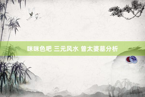 咪咪色吧 三元风水 曾太婆墓分析
