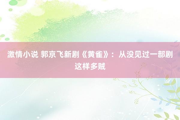 激情小说 郭京飞新剧《黄雀》：从没见过一部剧这样多贼