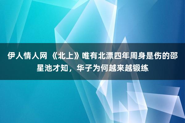 伊人情人网 《北上》唯有北漂四年周身是伤的邵星池才知，华子为何越来越锻练